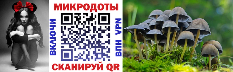 Псилоцибиновые грибы Magic Shrooms  mega маркетплейс  Зарайск 